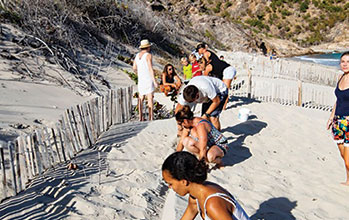 Restoration beach dunes