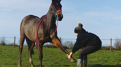 Understanding animals to better care for them