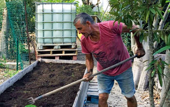 La Main Verte <br> Green Fingers and Thumbs